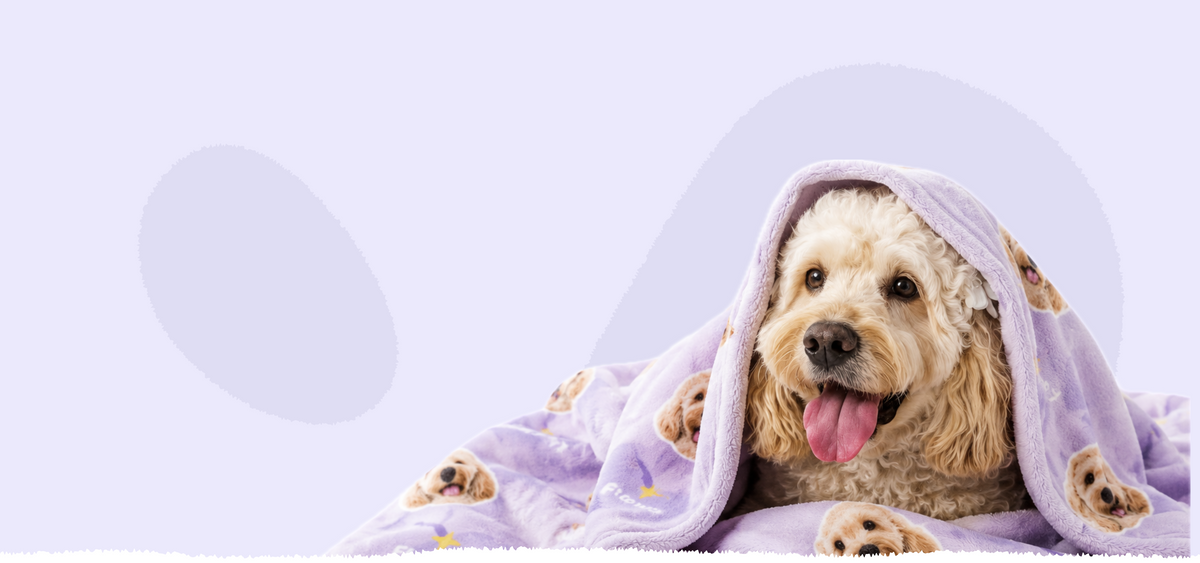 Dog wrapped in a lavender Floopilo custom pet blanket