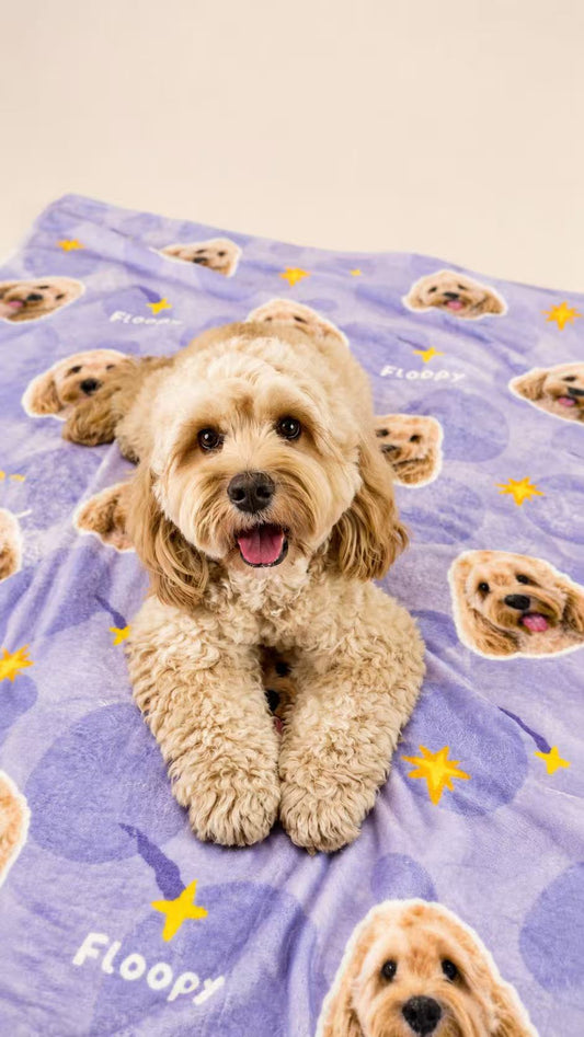 Custom pet blanket shown with a small dog sitting on a lavender star pattern