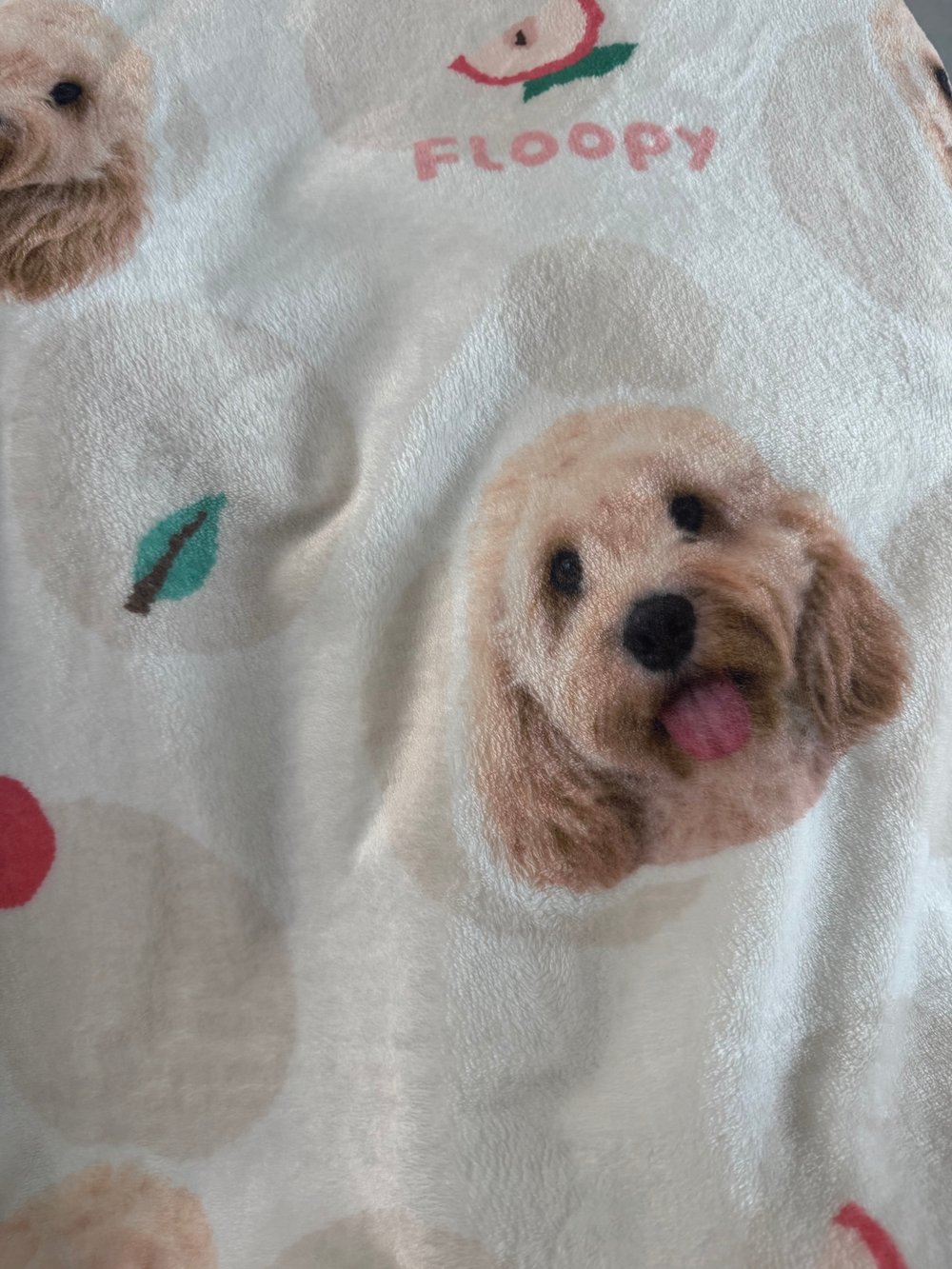 Floopy