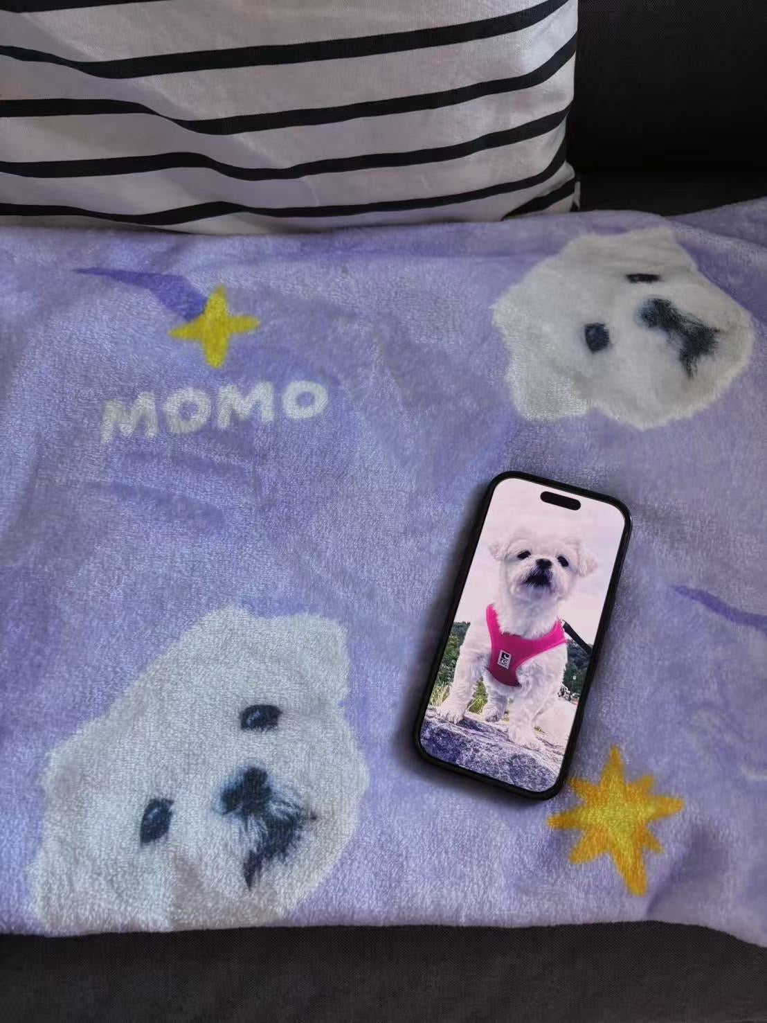 Momo