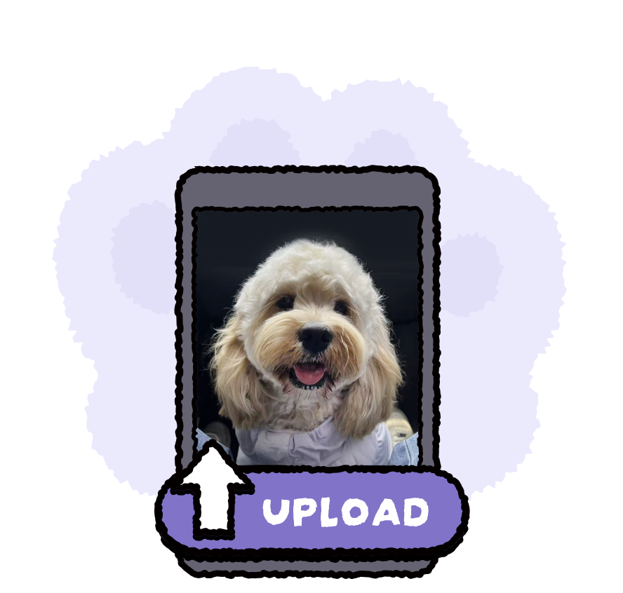 Upload step showing a pet photo