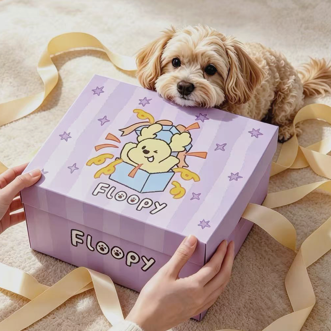 Floopilo Magic Touch gift presentation